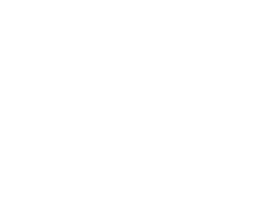 SDM Consulting Unternehmensberatung GmbH